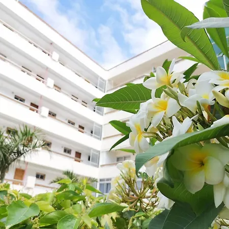 Camelias 215 By Pride Apartamento